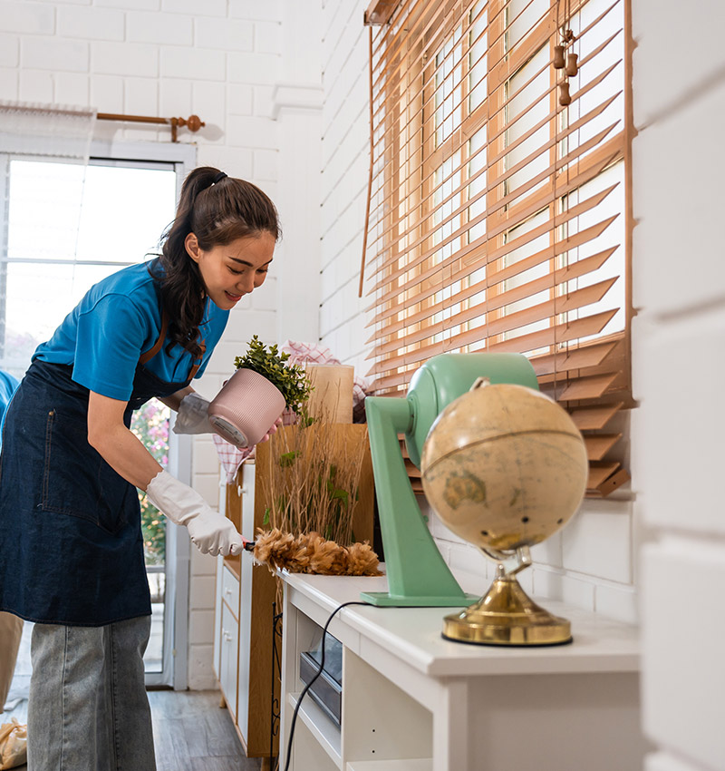 Villa Management Services